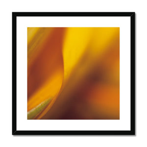 Native Australian Flora - Orange Framed & Mounted Print - Arte Della Fotografia