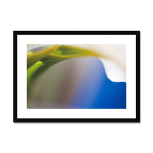 Lily and Blue Framed & Mounted Print - Arte Della Fotografia