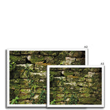 Moss Covered Wall of San Martino  Framed Print