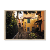 Colourful Corner Framed Print