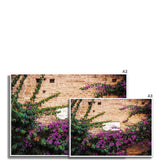 Street Sign and Bougainvillea - Tuscany Collection Fine Art Print