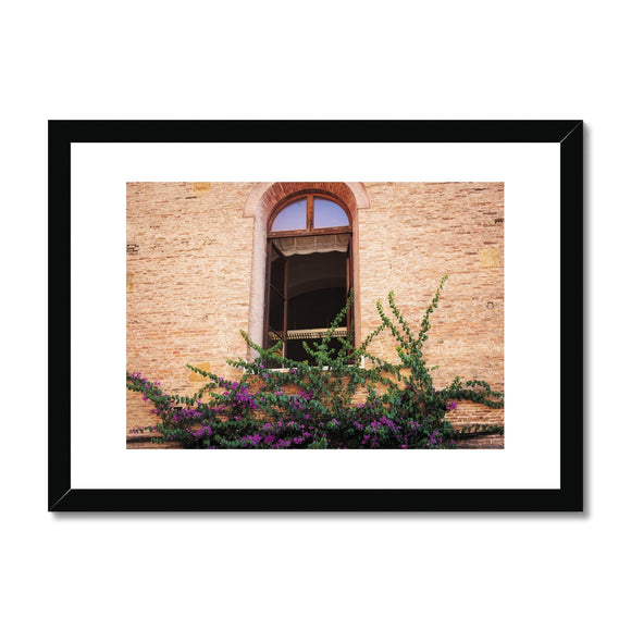 Window and Bougainvillea  Framed & Mounted Print