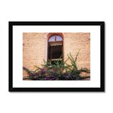 Window and Bougainvillea  Framed & Mounted Print