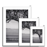 Right-Angled Tree Framed & Mounted Print - Arte Della Fotografia