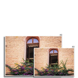 Window and Bougainvillea  Fine Art Print