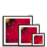 Native Australian Flora - Red Framed & Mounted Print - Arte Della Fotografia