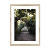 Light Streaks in Boboli Gardens - Tuscany Collection Framed & Mounted Print