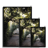 Light Streaks in Boboli Gardens - Tuscany Collection Framed Print