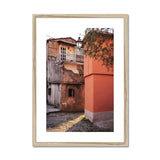 Olive Tree and Buildings Framed & Mounted Print