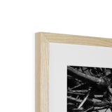 Right-Angled Tree Framed & Mounted Print - Arte Della Fotografia