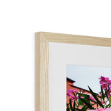 Monterosso Headland Through Flowers - Cinque Terre Collection Framed & Mounted Print