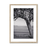 Right-Angled Tree Framed & Mounted Print - Arte Della Fotografia