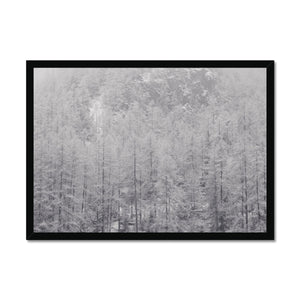 Snow Covered Trees Framed Print - Arte Della Fotografia