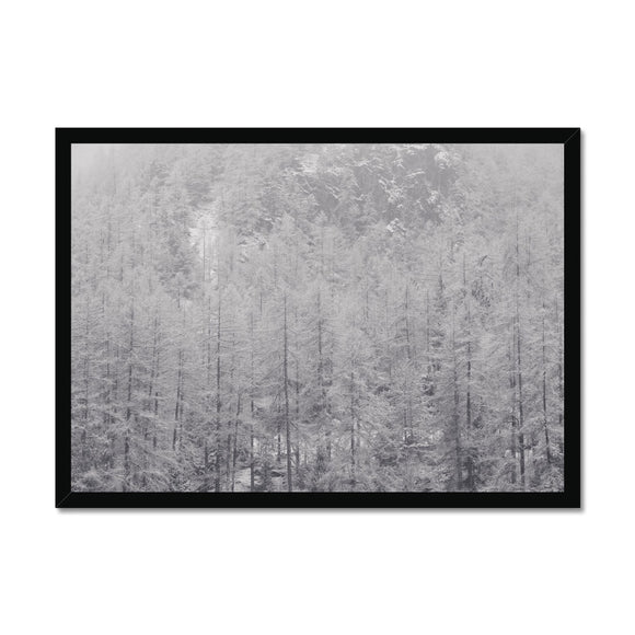 Snow Covered Trees Framed Print - Arte Della Fotografia