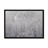 Snow Covered Trees Framed Print - Arte Della Fotografia