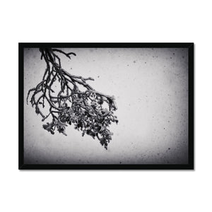 Snow Storm One Framed Print