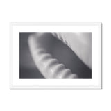 Shell Detail One Framed & Mounted Print - Arte Della Fotografia