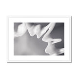 Shell Detail Three Framed & Mounted Print - Arte Della Fotografia