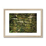 Moss Covered Wall of San Martino  Framed & Mounted Print