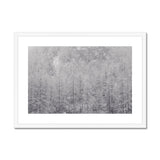 Snow Covered Trees Framed & Mounted Print - Arte Della Fotografia