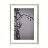 Snow Storm Three Framed & Mounted Print