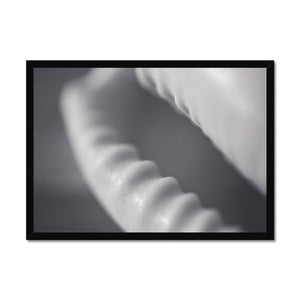 Shell Detail One Framed Print - Arte Della Fotografia