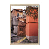 Olive Tree and Buildings Framed Print