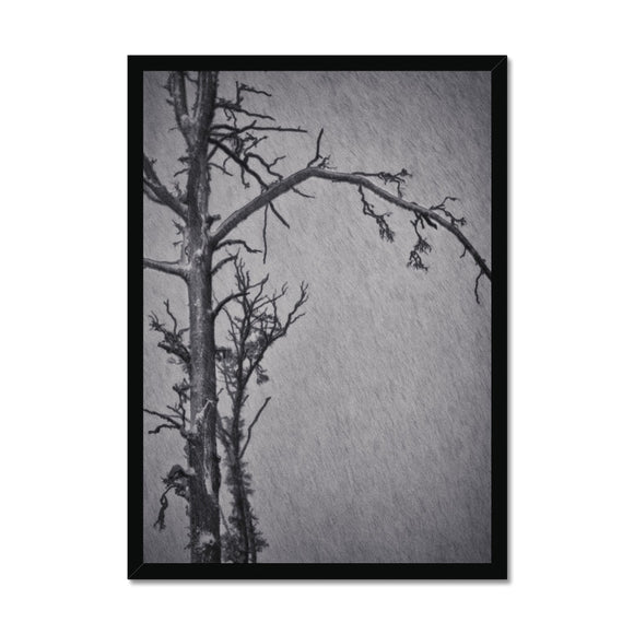 Snow Storm Three Framed Print