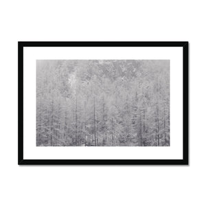 Snow Covered Trees Framed & Mounted Print - Arte Della Fotografia