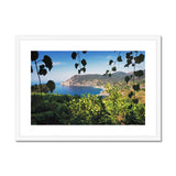 Monterosso Through The Vines - Cinque Terre Collection Framed & Mounted Print