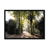 Tree Corridor in Boboli Gardens - Tuscany Collection  Framed Print