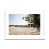 Olive Tree at the Plein Air Cinema - Corsica Collection Framed & Mounted Print