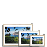 Monterosso Through The Vines - Cinque Terre Collection Framed & Mounted Print