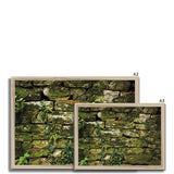 Moss Covered Wall of San Martino  Framed Print