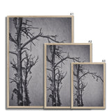 Snow Storm Three Framed Print