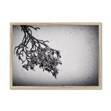 Snow Storm One Framed Print