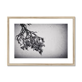 Snow Storm One Framed & Mounted Print