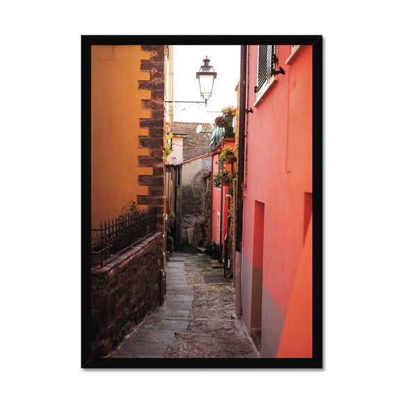 Walkway of Colour Framed Print