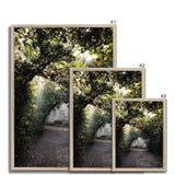 Light Streaks in Boboli Gardens - Tuscany Collection Framed Print