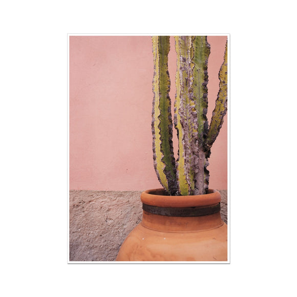 Terracotta and Pink Fine Art Print