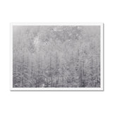 Snow Covered Trees Framed Print - Arte Della Fotografia