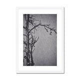 Snow Storm Three Framed & Mounted Print