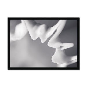 Shell Detail Three Framed Print - Arte Della Fotografia