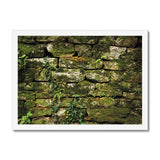 Moss Covered Wall of San Martino  Framed Print