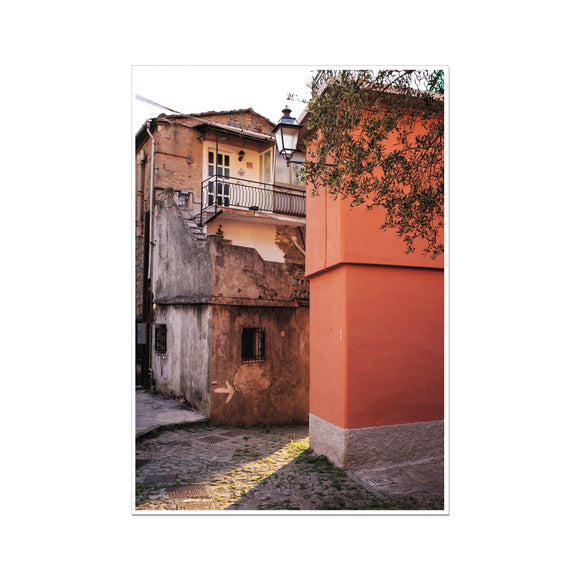 Olive Tree and Buildings Fine Art Print