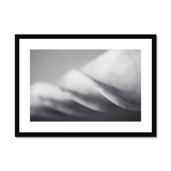 Shell Detail Two Framed & Mounted Print - Arte Della Fotografia