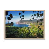 Monterosso Through The Vines - Cinque Terre Collection Framed Print