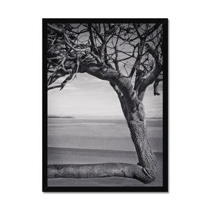 Right-Angled Tree Framed Print - Arte Della Fotografia