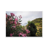 Monterosso Headland Through Flowers - Cinque Terre Collection Fine Art Print