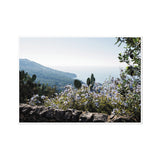 Vista and Lost Horizon - Capri Collection Fine Art Print